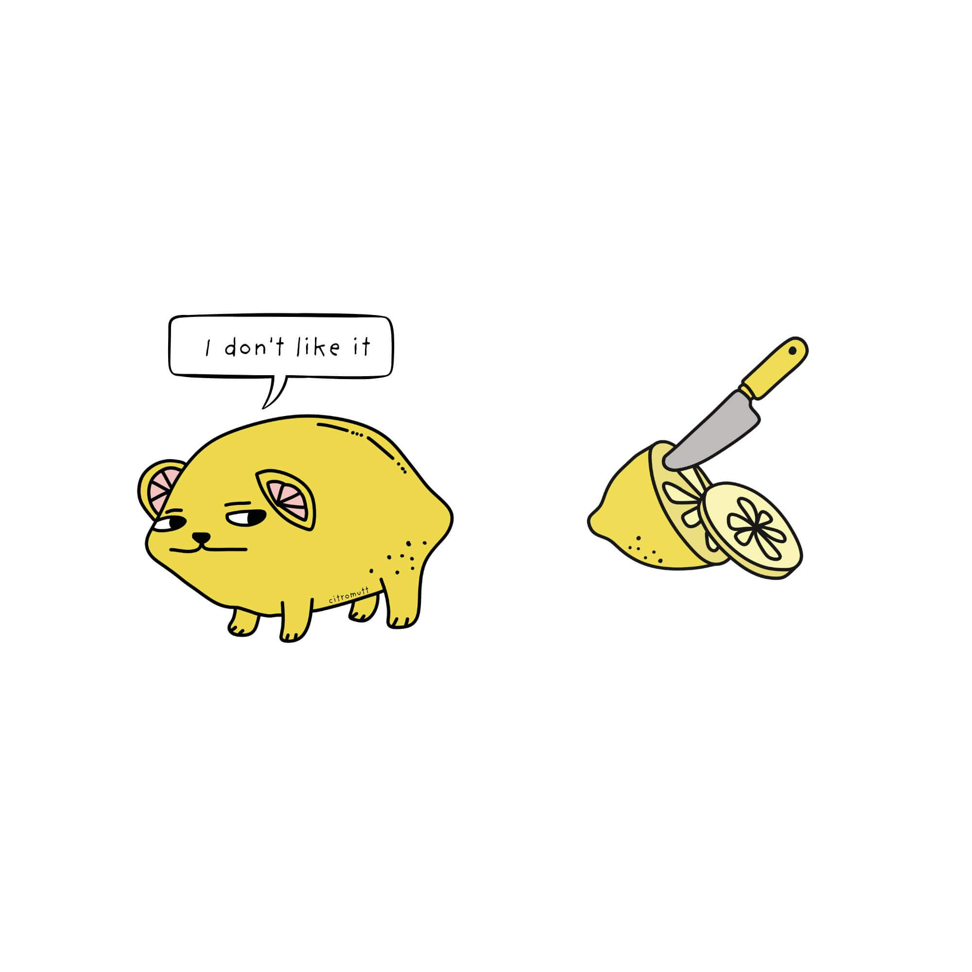 I don't like it - funny citromutt lemon slice meme