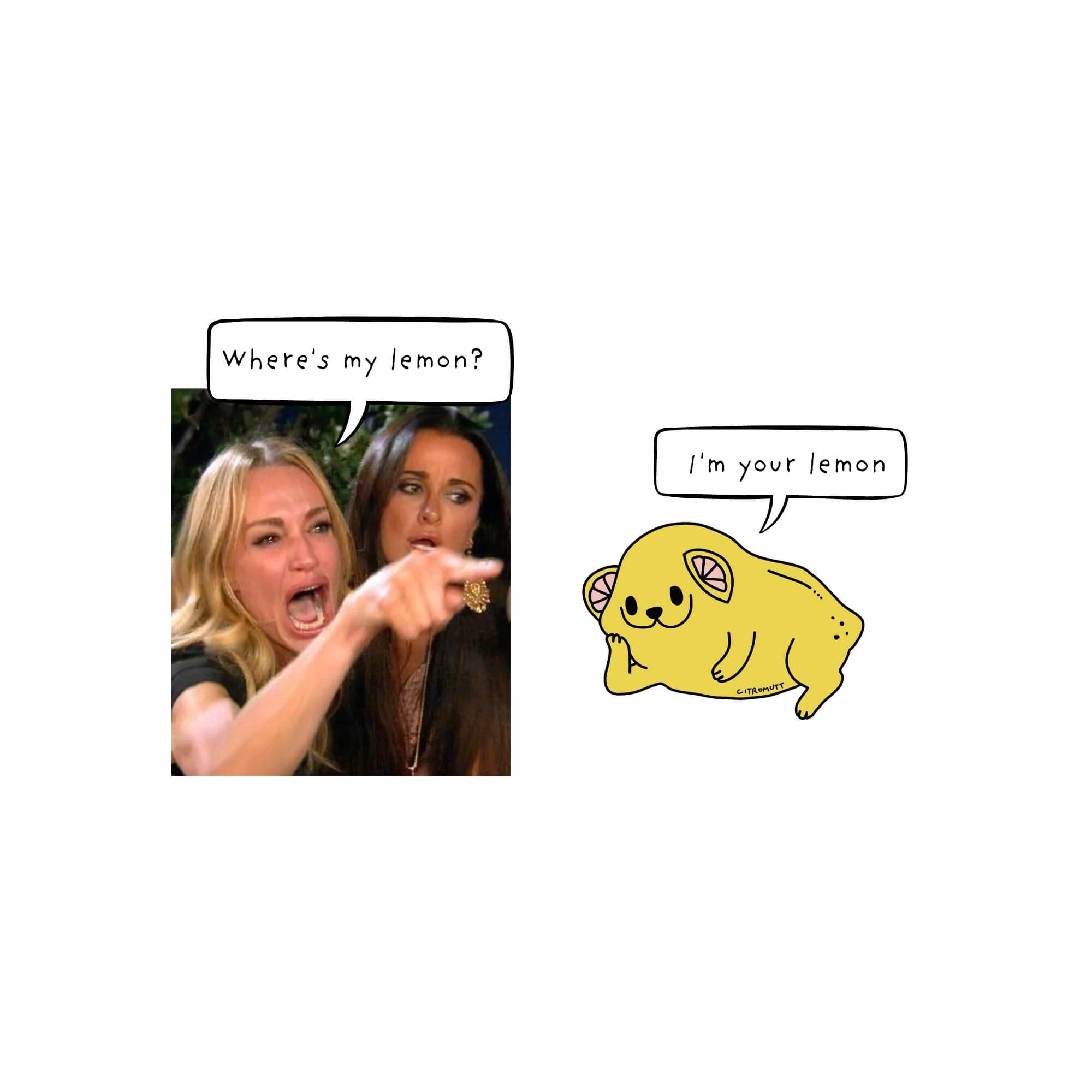 Looking for your lemon? The classic woman yelling meme gets a fresh twist with Citromutt - the chillest lemon dog. Check out funny meme.